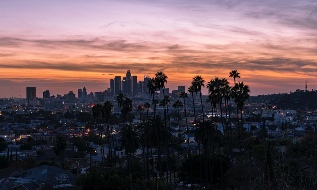 Life coach for men Los Angeles California